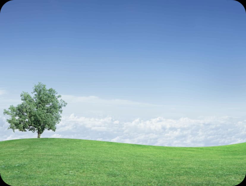 Climatización industrial y comercial en México. Soluciones de aire acondicionado comercial e industrial en México