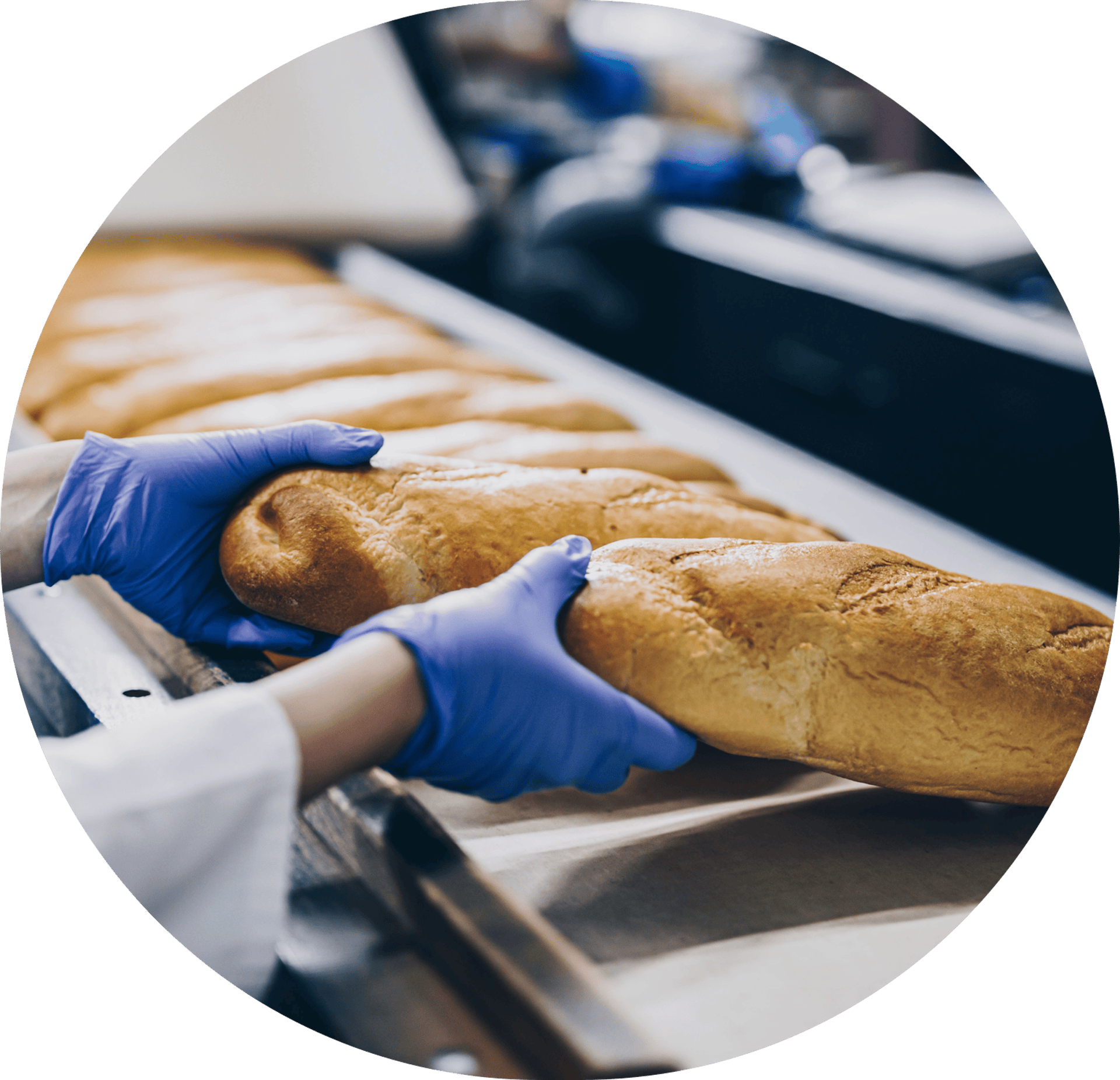 Climatización industrial y comercial en México